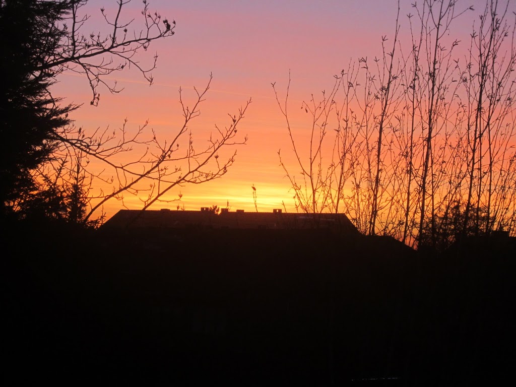 Sonnenuntergang Düsseldorf Himmel Pink Orange Gelb Rosa Fotografie 1