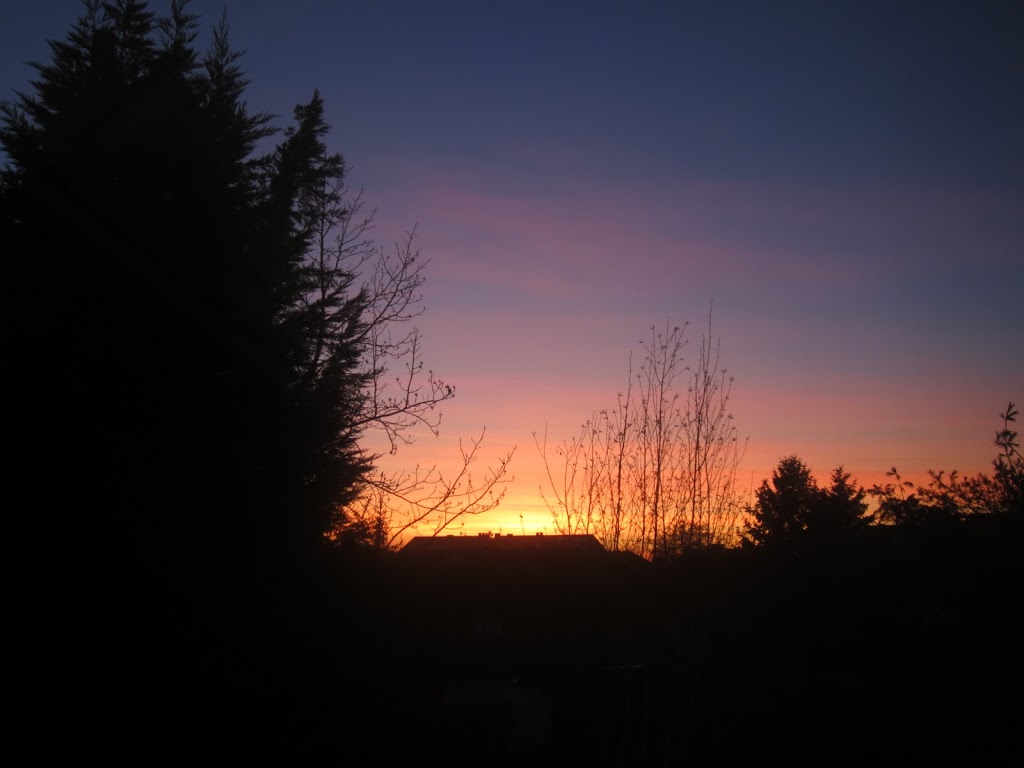 Sonnenuntergang Düsseldorf Himmel Pink Orange Gelb Rosa Fotografie 3