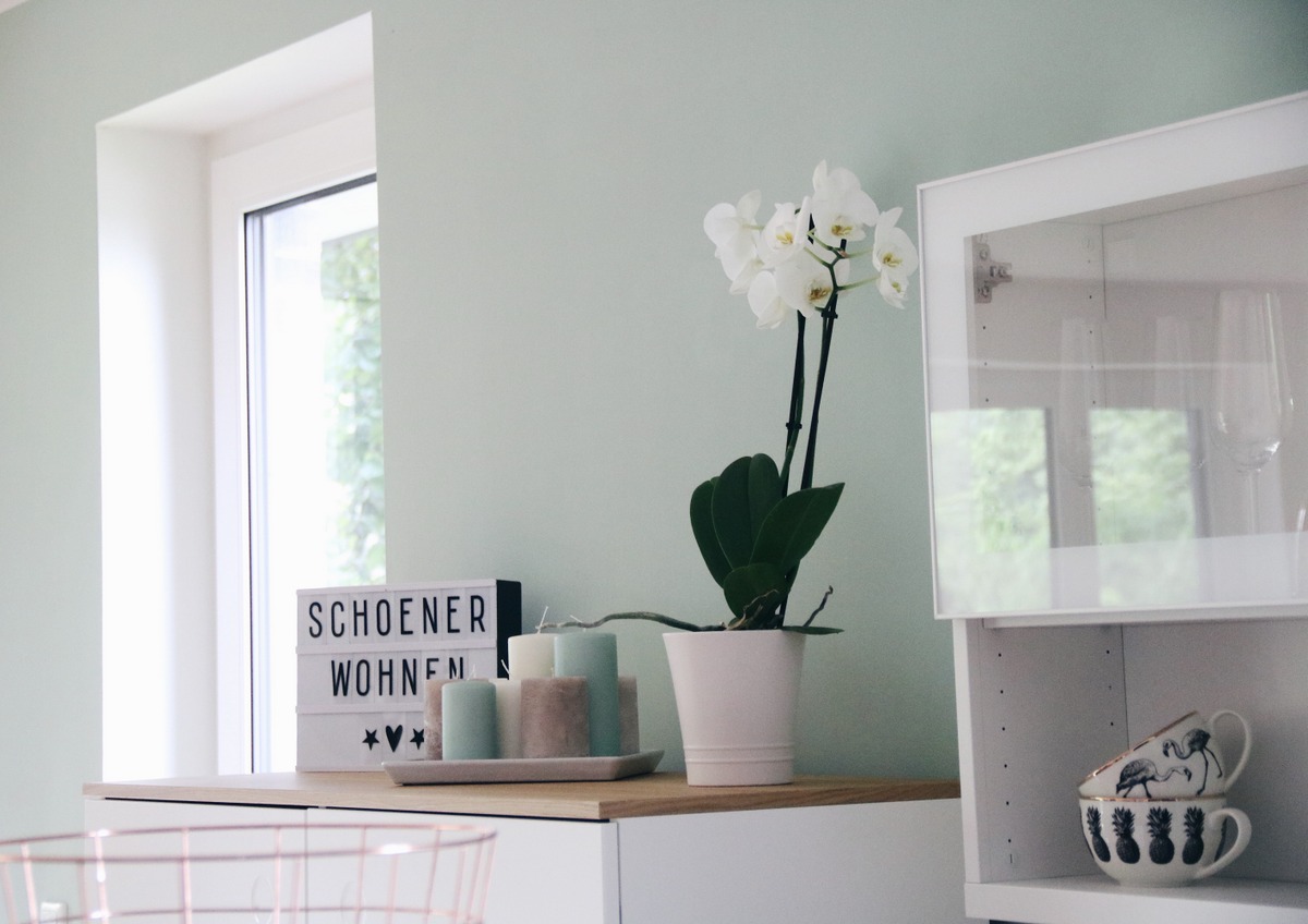 schoener-wohnen-architects-finest-wandfarbe-mintgrüne-wand-wohnzimmer-living-room-interior-einrichtung-dekoration-inspiration-mrsbrightside