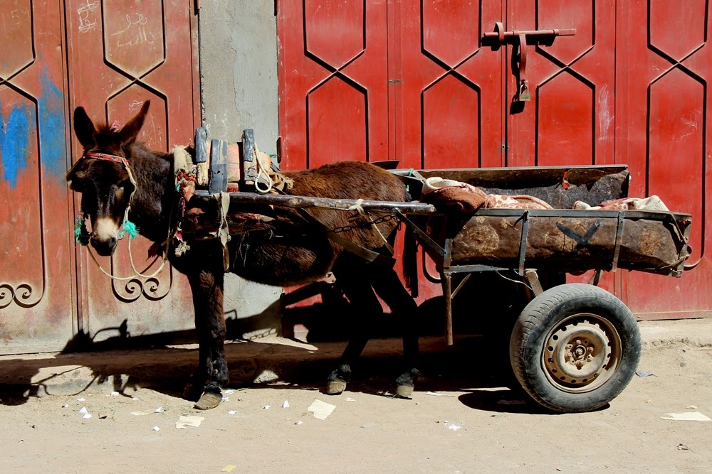 Travel: Marrakesch – Photodiary Part I