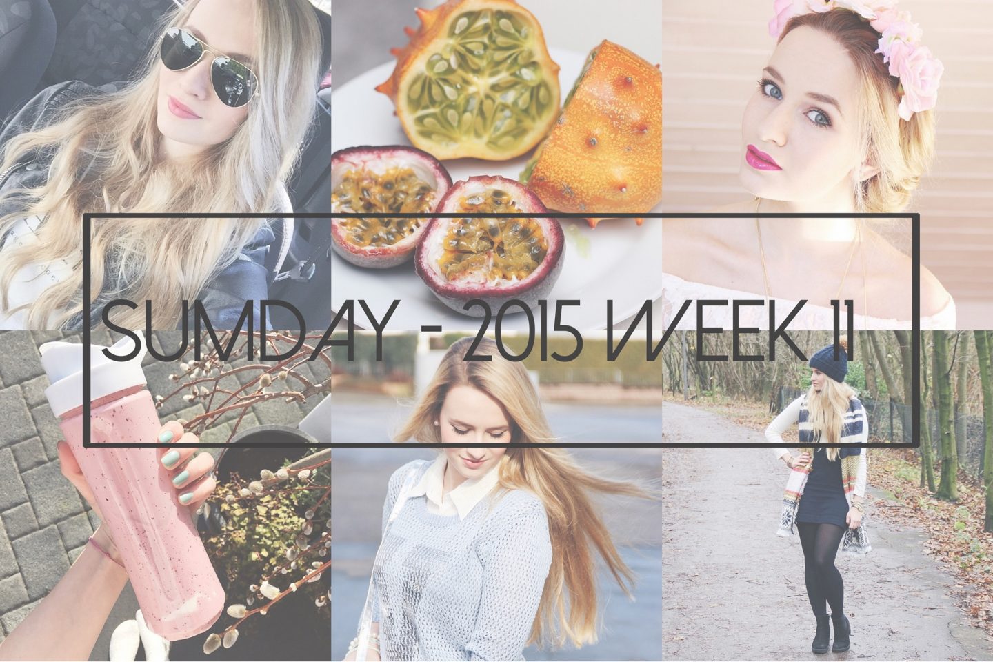Sumday: 2015 – Week 11