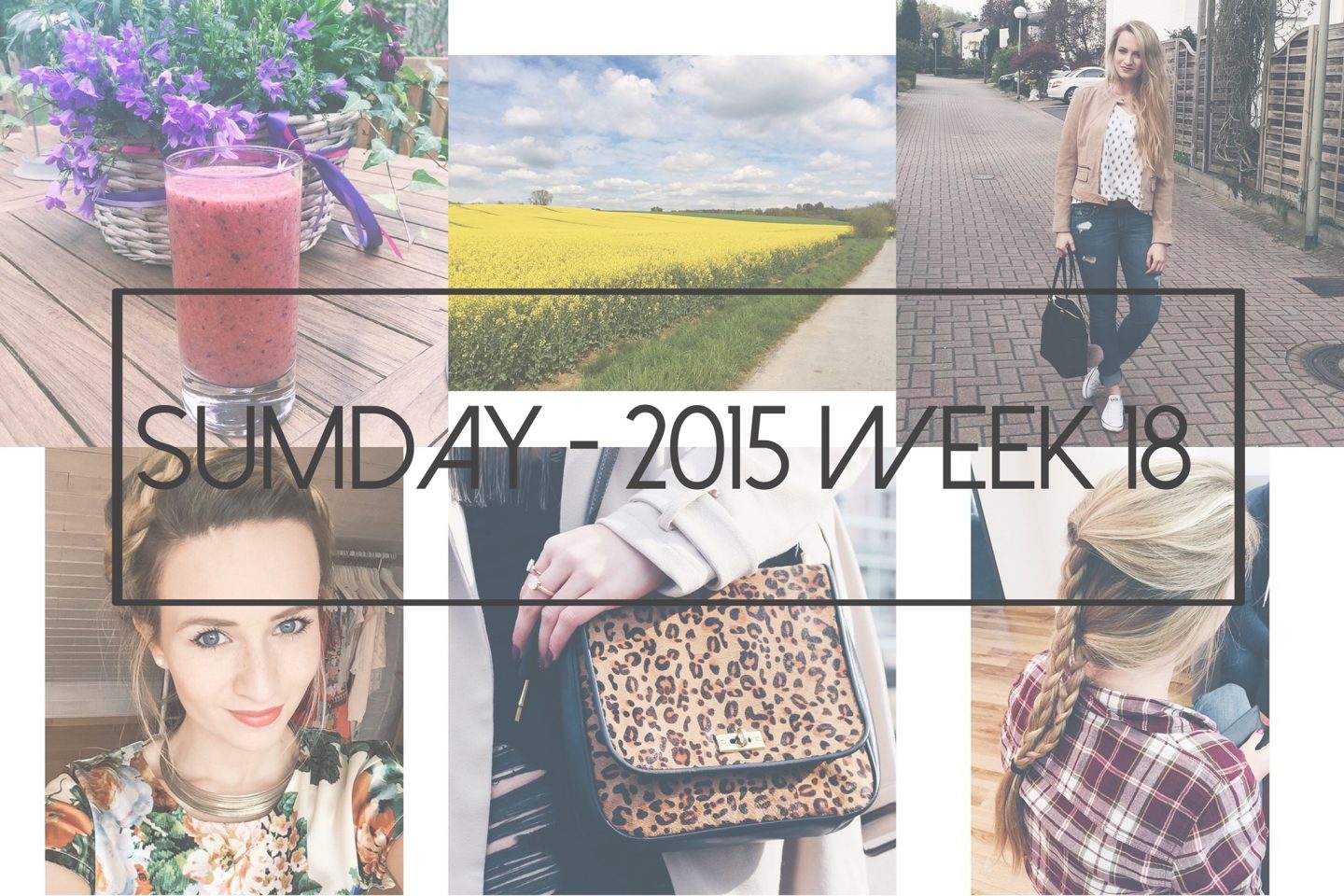 Sumday: 2015 – Week 18