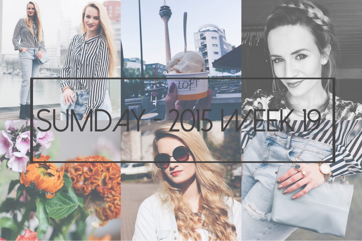 Sumday: 2015 – Week 19