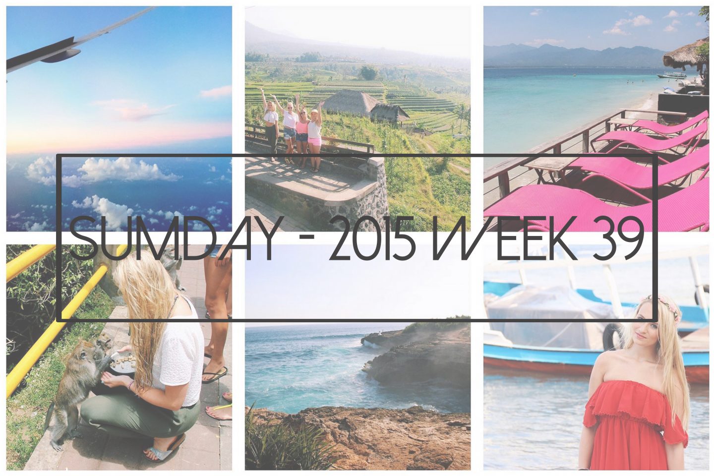 Sumday: 2015 – Week 39