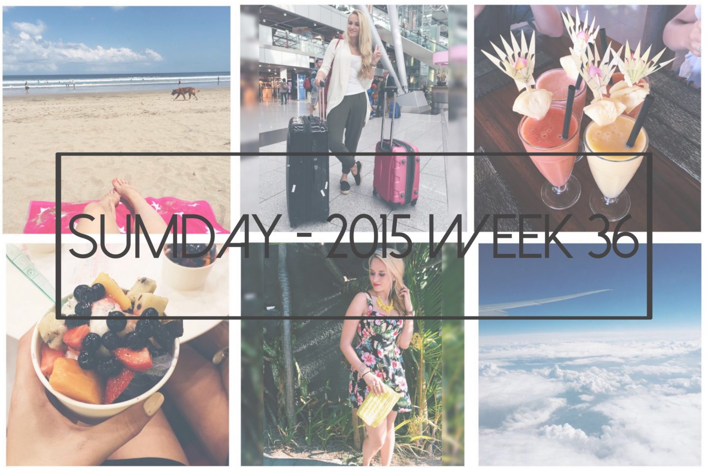 Sumday: 2015 – Week 36