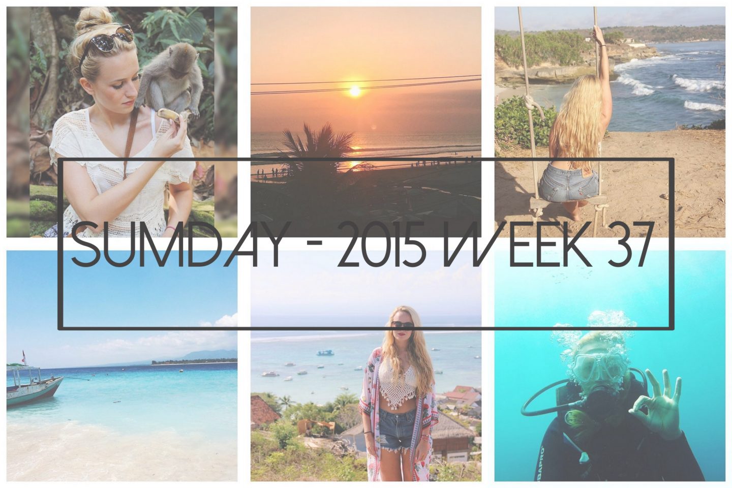 Sumday: 2015 – Week 37