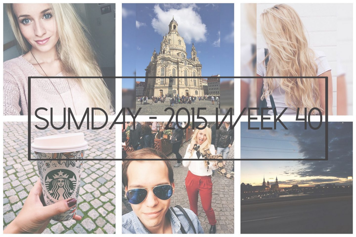 Sumday: 2015 – Week 40