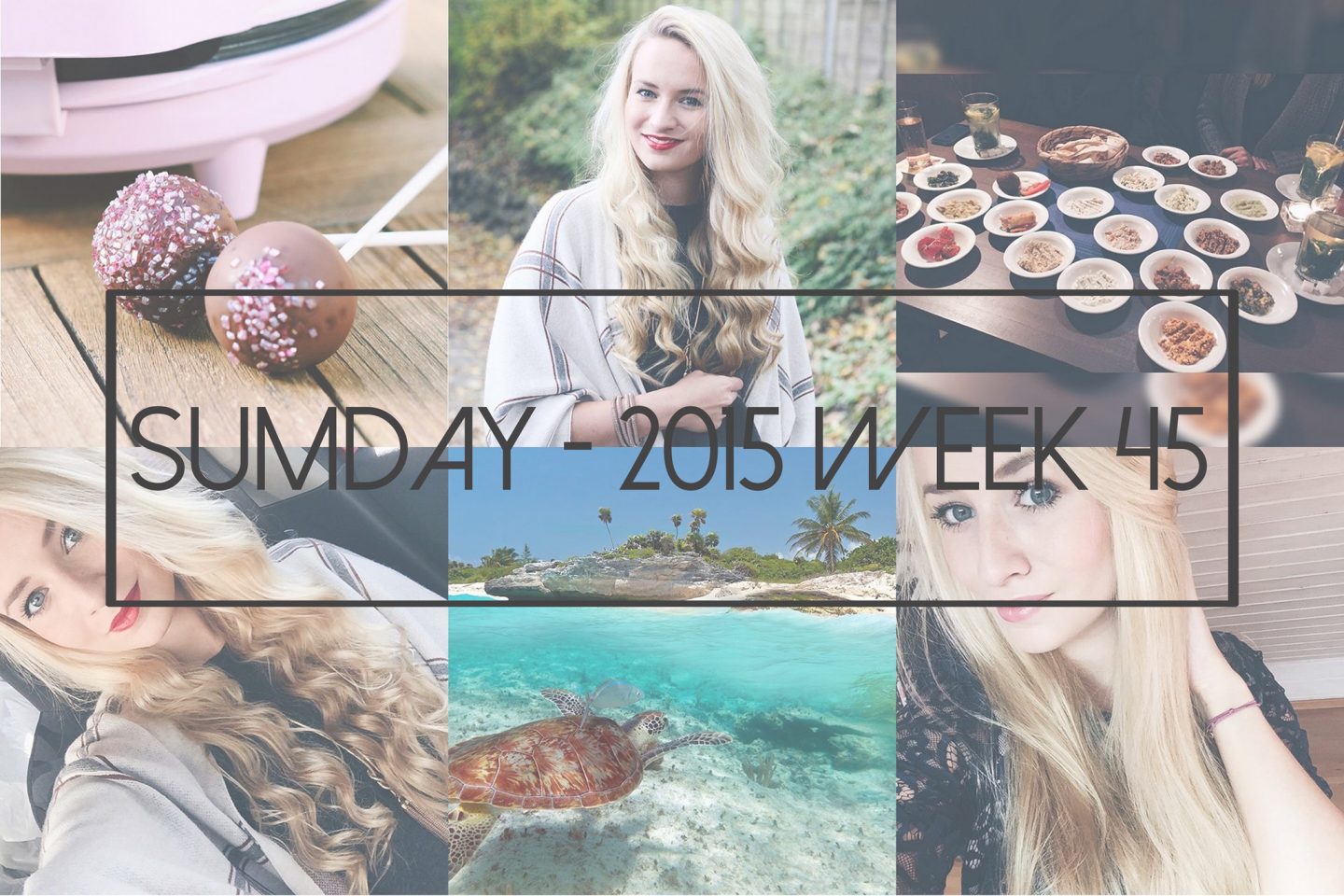 Sumday: 2015 – Week 45