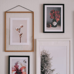 Weihnachten im Wohnzimmer – meine…